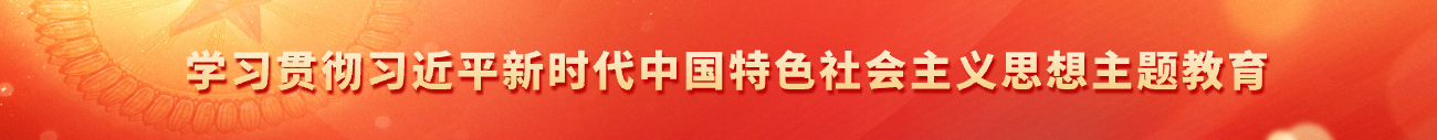 学习贯彻习近平新时代中国特色社会主义思想主题教育